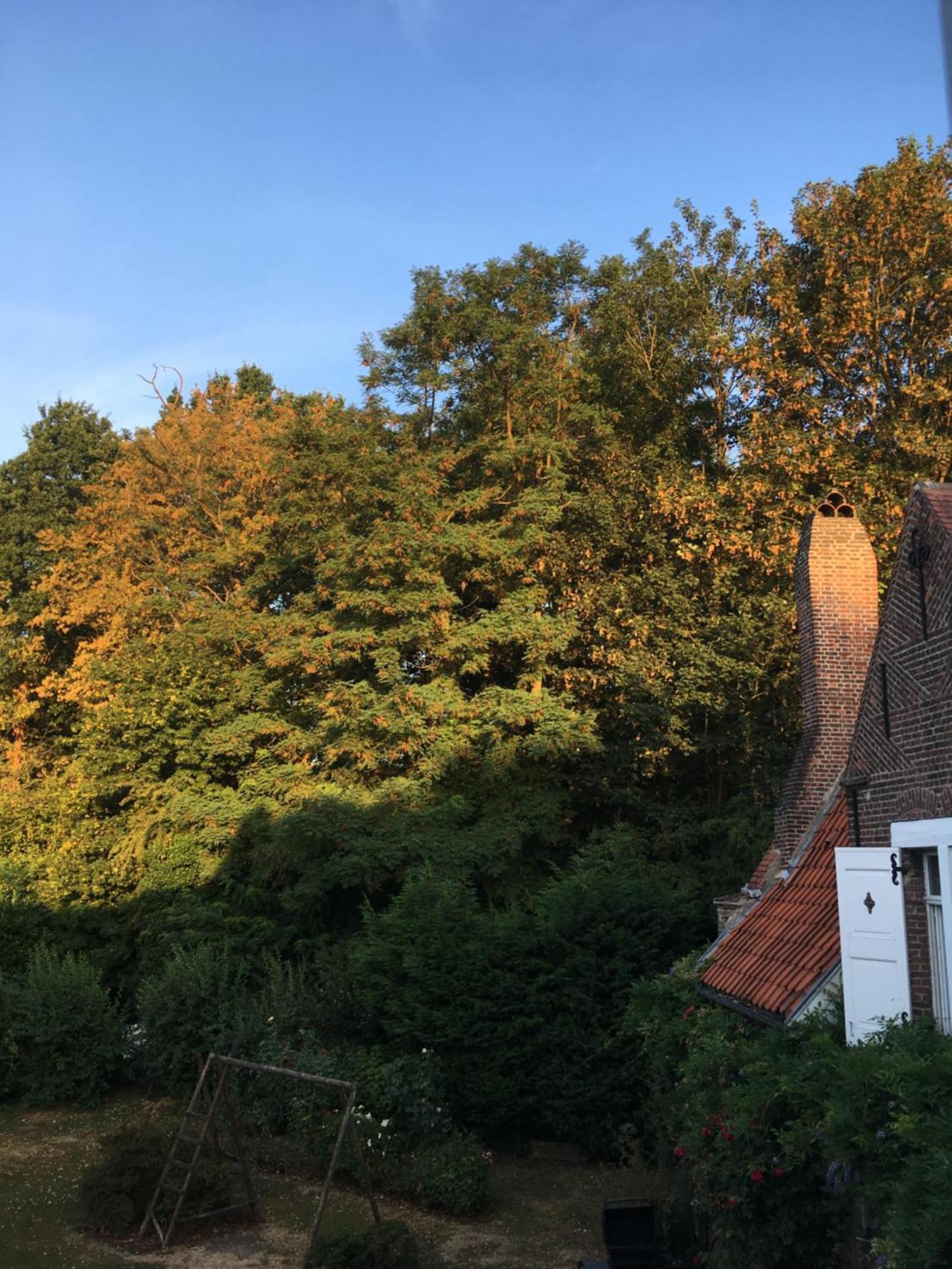 Le Pigeonnier, Maison D'Hotes Et Spa Croix Esterno foto